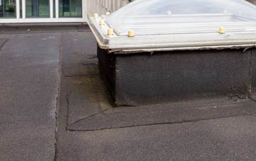 disadvantages of Hotham flat roofs